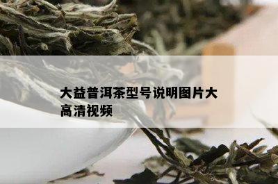 大益普洱茶型号说明图片大高清视频