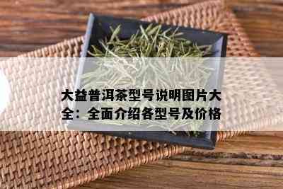 大益普洱茶型号说明图片大全：全面介绍各型号及价格