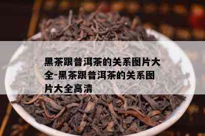 黑茶跟普洱茶的关系图片大全-黑茶跟普洱茶的关系图片大全高清