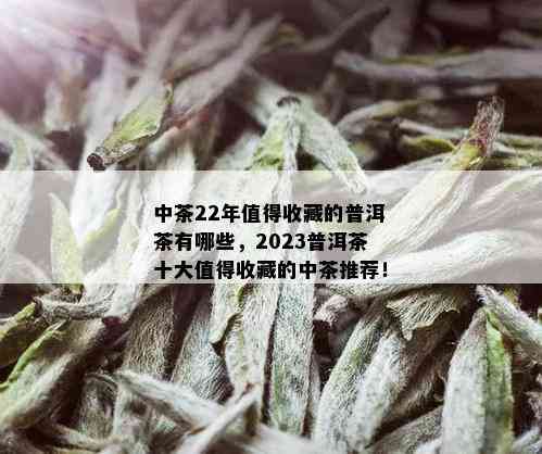 中茶22年值得收藏的普洱茶有哪些，2023普洱茶十大值得收藏的中茶推荐！