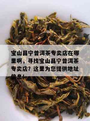 宝山昌宁普洱茶专卖店在哪里啊，寻找宝山昌宁普洱茶专卖店？这里为您提供地址信息！