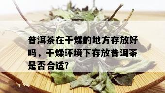 普洱茶在干燥的地方存放好吗，干燥环境下存放普洱茶是否合适？