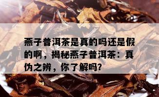 燕子普洱茶是真的吗还是假的啊，揭秘燕子普洱茶：真伪之辨，你了解吗？