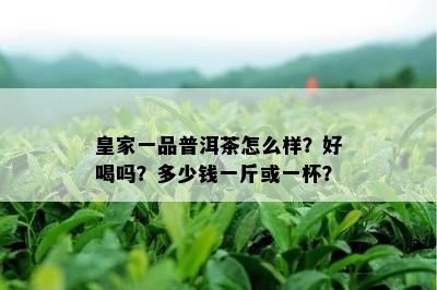 皇家一品普洱茶怎么样？好喝吗？多少钱一斤或一杯？