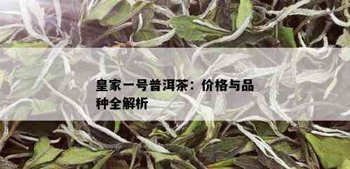 皇家一号普洱茶：价格与品种全解析