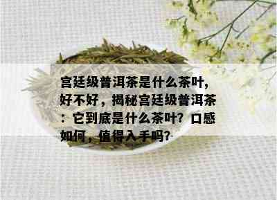 宫廷级普洱茶是什么茶叶,好不好，揭秘宫廷级普洱茶：它到底是什么茶叶？口感如何，值得入手吗？