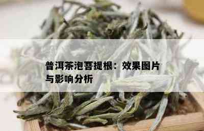 普洱茶泡菩提根：效果图片与影响分析