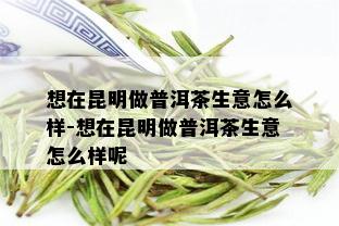 想在昆明做普洱茶生意怎么样-想在昆明做普洱茶生意怎么样呢