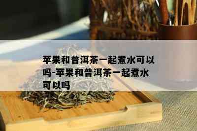 苹果和普洱茶一起煮水可以吗-苹果和普洱茶一起煮水可以吗