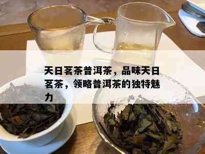 天日茗茶普洱茶，品味天日茗茶，领略普洱茶的独特魅力