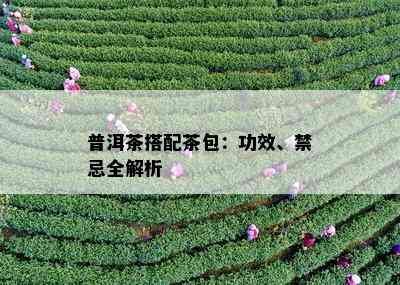 普洱茶搭配茶包：功效、禁忌全解析