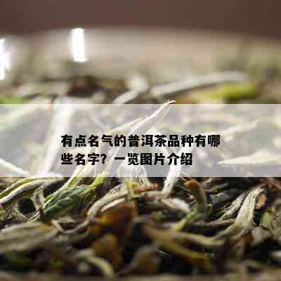 有点名气的普洱茶品种有哪些名字？一览图片介绍