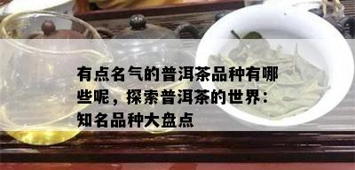 有点名气的普洱茶品种有哪些呢，探索普洱茶的世界：知名品种大盘点