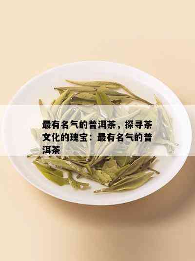 最有名气的普洱茶，探寻茶文化的瑰宝：最有名气的普洱茶