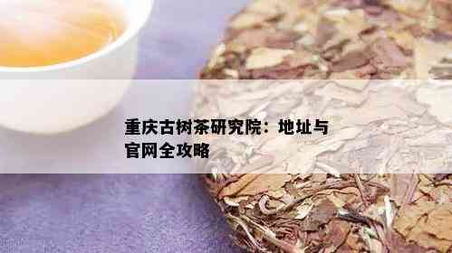 重庆古树茶研究院：地址与官网全攻略