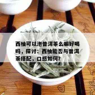 西柚可以泡普洱茶么嘛好喝吗，探讨：西柚能否与普洱茶搭配，口感如何？