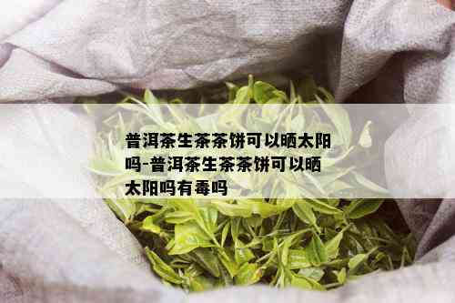 普洱茶生茶茶饼可以晒太阳吗-普洱茶生茶茶饼可以晒太阳吗有吗