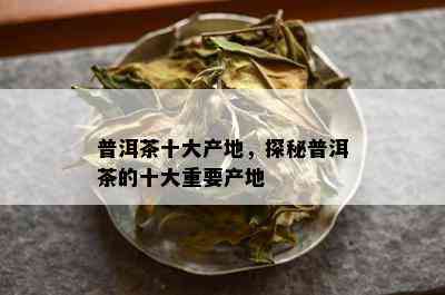 普洱茶十大产地，探秘普洱茶的十大重要产地