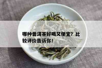 哪种普洱茶好喝又便宜？比较评价告诉你！