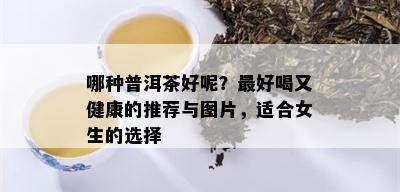 哪种普洱茶好呢？更好喝又健康的推荐与图片，适合女生的选择