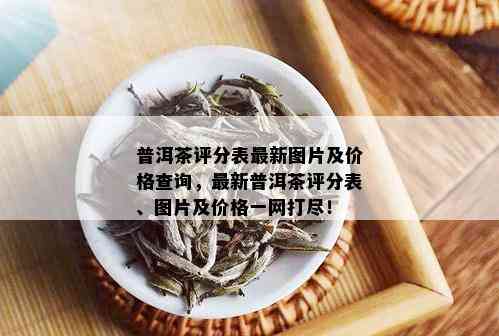 普洱茶评分表最新图片及价格查询，最新普洱茶评分表、图片及价格一网打尽！