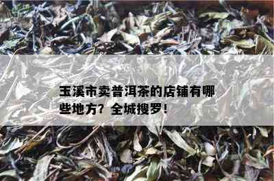 玉溪市卖普洱茶的店铺有哪些地方？全城搜罗！