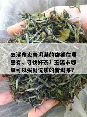 玉溪市卖普洱茶的店铺在哪里有，寻找好茶？玉溪市哪里可以买到优质的普洱茶？