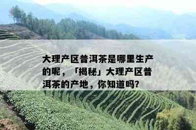 大理产区普洱茶是哪里生产的呢，「揭秘」大理产区普洱茶的产地，你知道吗？