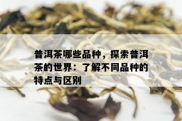 普洱茶哪些品种，探索普洱茶的世界：了解不同品种的特点与区别