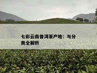 七彩云南普洱茶产地：与分类全解析