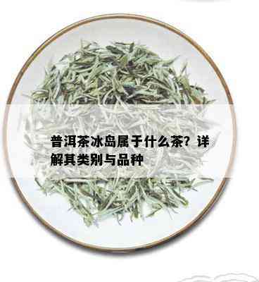 普洱茶冰岛属于什么茶？详解其类别与品种