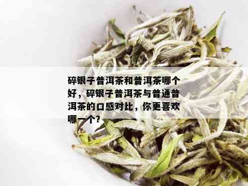 碎银子普洱茶和普洱茶哪个好，碎银子普洱茶与普通普洱茶的口感对比，你更喜欢哪一个？