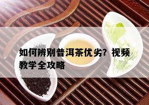 如何辨别普洱茶优劣？视频教学全攻略