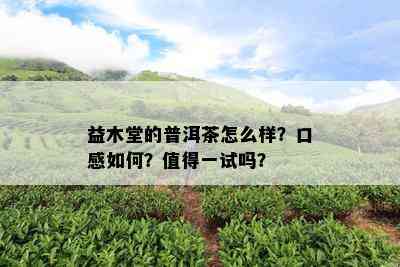 益木堂的普洱茶怎么样？口感如何？值得一试吗？