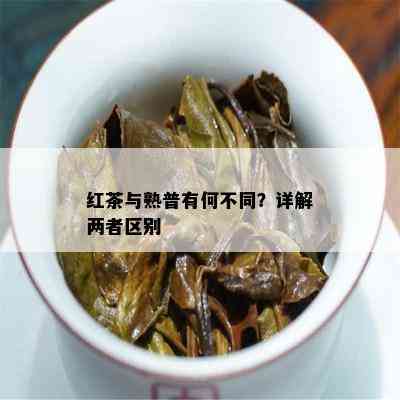 红茶与熟普有何不同？详解两者区别