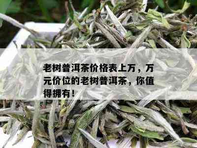 老树普洱茶价格表上万，万元价位的老树普洱茶，你值得拥有！