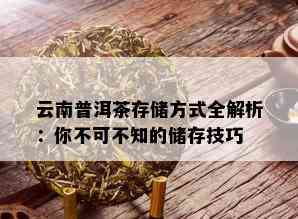 云南普洱茶存储方式全解析：你不可不知的储存技巧