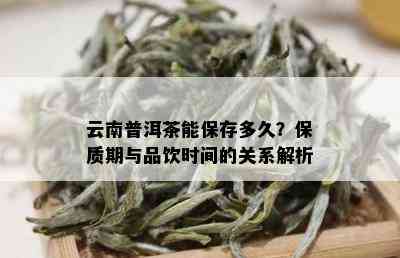 云南普洱茶能保存多久？保质期与品饮时间的关系解析