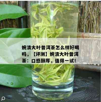 婉清大叶普洱茶怎么样好喝吗，【评测】婉清大叶普洱茶：口感醇厚，值得一试！