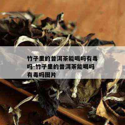 竹子里的普洱茶能喝吗有吗-竹子里的普洱茶能喝吗有吗图片