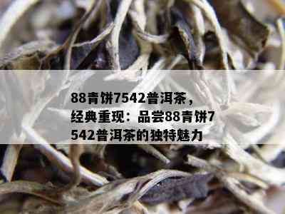 88青饼7542普洱茶，经典重现：品尝88青饼7542普洱茶的独特魅力