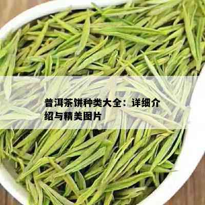 普洱茶饼种类大全：详细介绍与精美图片