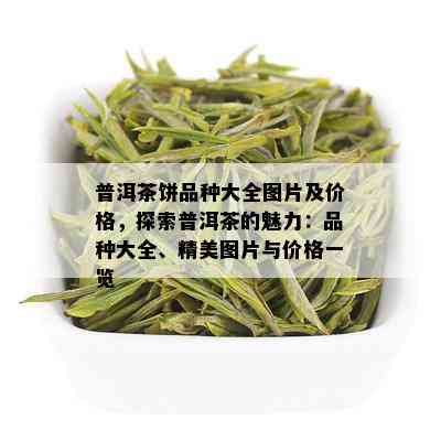 普洱茶饼品种大全图片及价格，探索普洱茶的魅力：品种大全、精美图片与价格一览