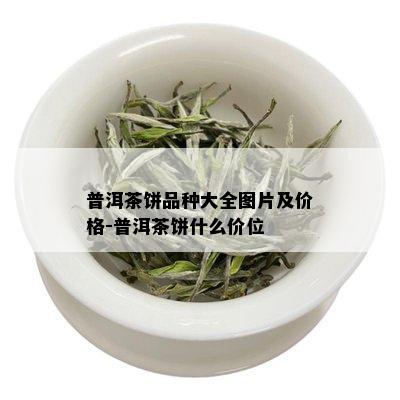 普洱茶饼品种大全图片及价格-普洱茶饼什么价位