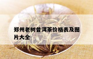 郑州老树普洱茶价格表及图片大全