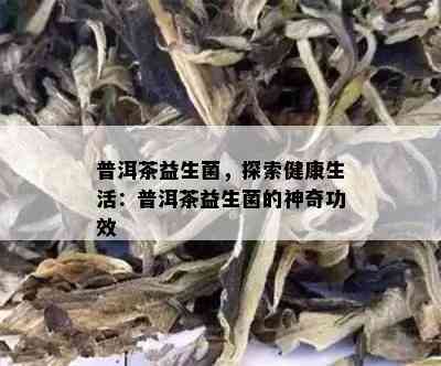 普洱茶益生菌，探索健康生活：普洱茶益生菌的神奇功效