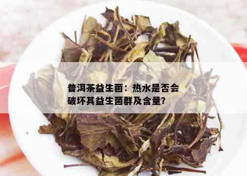 普洱茶益生菌：热水是否会破坏其益生菌群及含量？