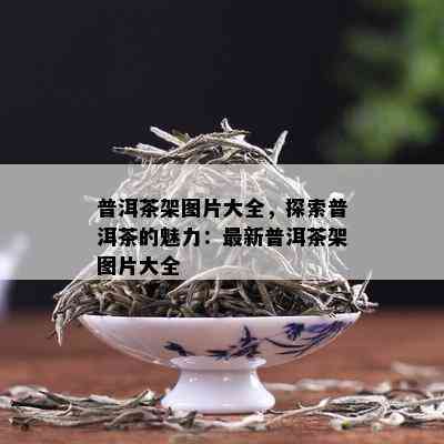 普洱茶架图片大全，探索普洱茶的魅力：最新普洱茶架图片大全