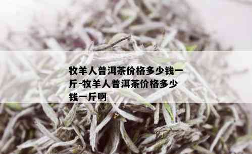 牧羊人普洱茶价格多少钱一斤-牧羊人普洱茶价格多少钱一斤啊