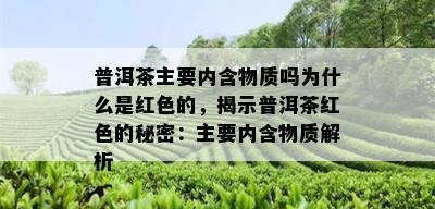 普洱茶主要内含物质吗为什么是红色的，揭示普洱茶红色的秘密：主要内含物质解析